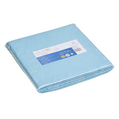 ClaraClean Go! SX 100 Tücher blau