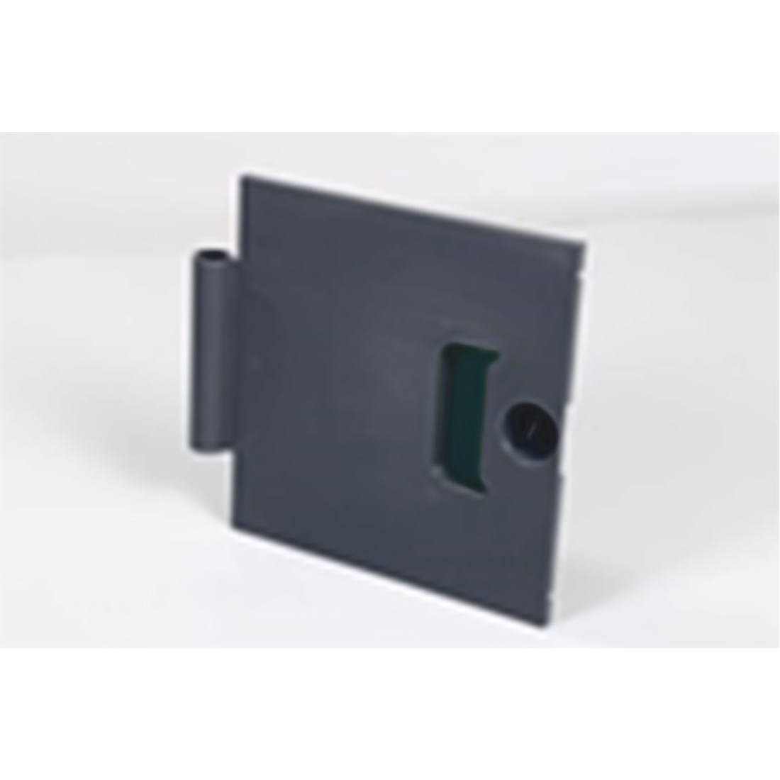 p_506208_abschliessbare Tür mit Griff BiG