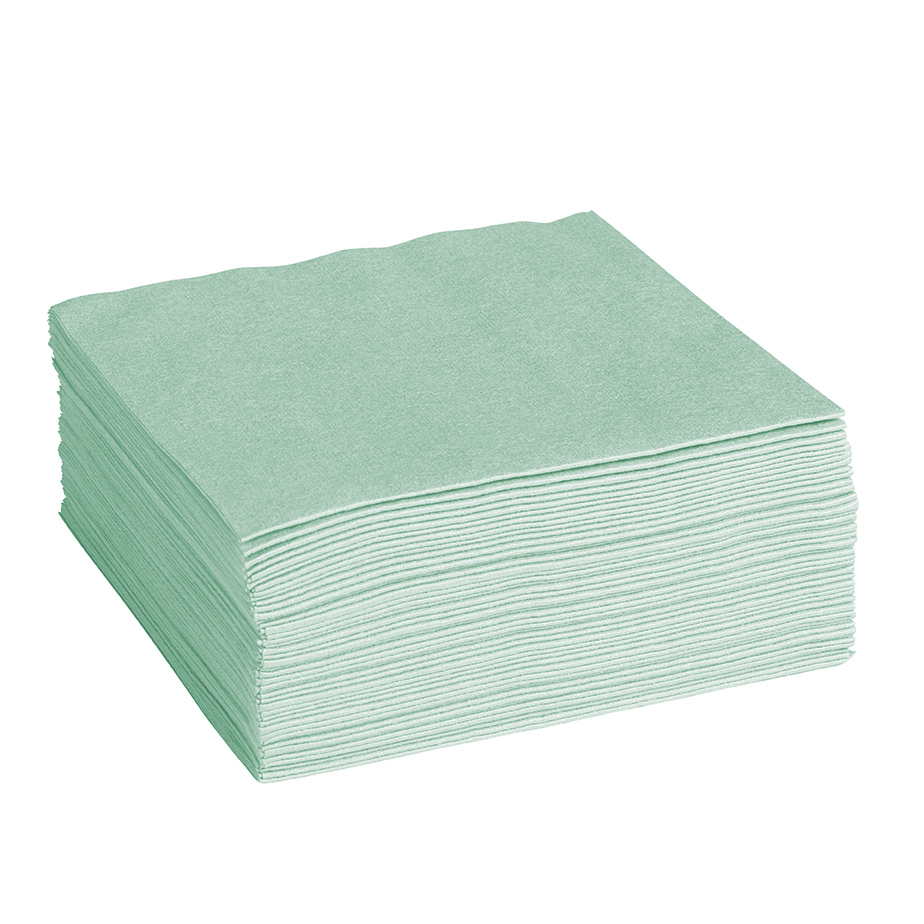 p_124942_ClaraClean Go! SX 120 Tücher grün